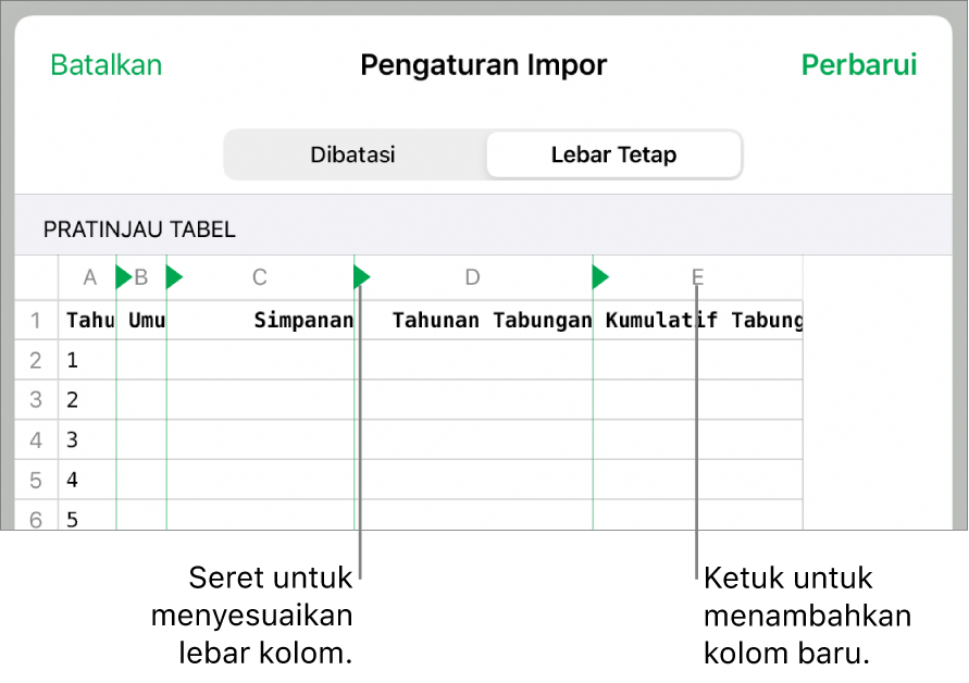 Pengaturan impor untuk file teks lebar tetap.