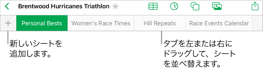 新しいシートの追加、移動、並び替え、シートの再編成のためのタブバー。