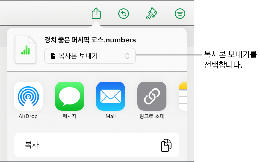 상단에 복사본 보내기가 선택되어 있는 공유 메뉴.