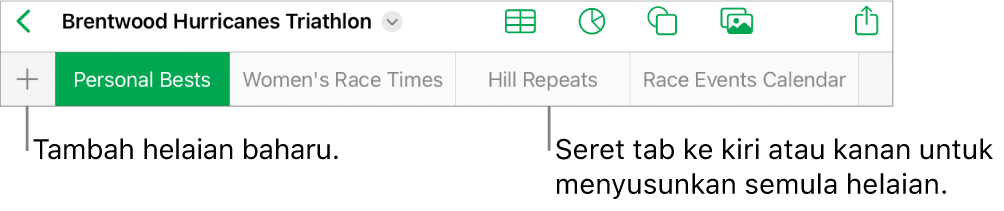 Bar tab untuk menambah helaian baharu, menavigasi, menertibkan semula dan menyusun semula helaian.