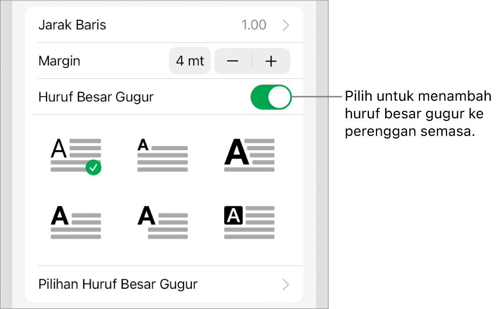 Kawalan Huruf Besar Gugur berada dalam menu Teks.