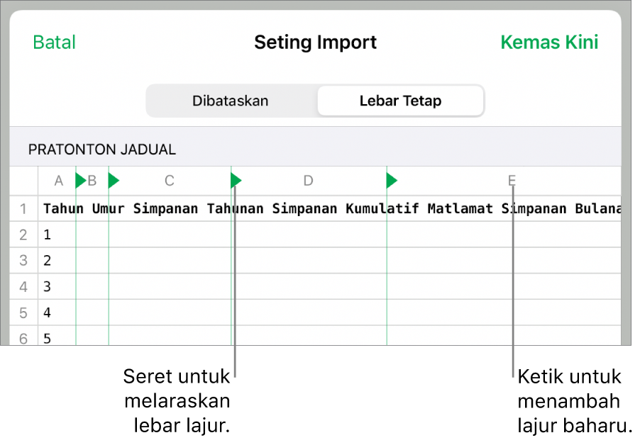 Seting import untuk fail teks lebar tetap.