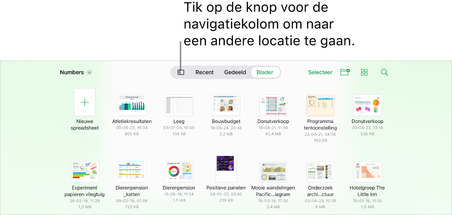 De bladerweergave van de documentweergave met linksboven een link naar andere locaties en daaronder een zoekveld. Rechtsboven staan knoppen voor een nieuwe spreadsheet en een nieuwe map, een pop‑upmenu voor de lijst- of symboolweergave en om te filteren op naam, datum, grootte, soort of tag, en de knop 'Selecteer'. Daaronder staan miniaturen van bestaande spreadsheets.