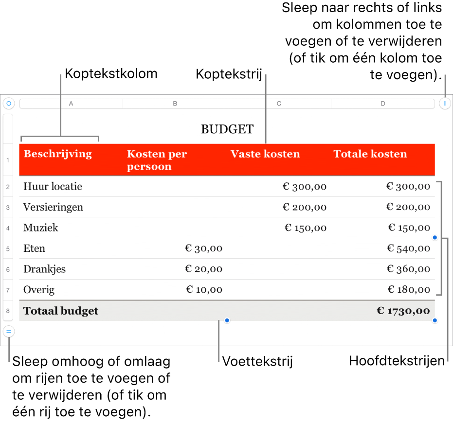 Een tabel met koptekst-, hoofdtekst- en voettekstrijen en -kolommen en selectiegrepen voor het toevoegen of verwijderen van rijen en kolommen.