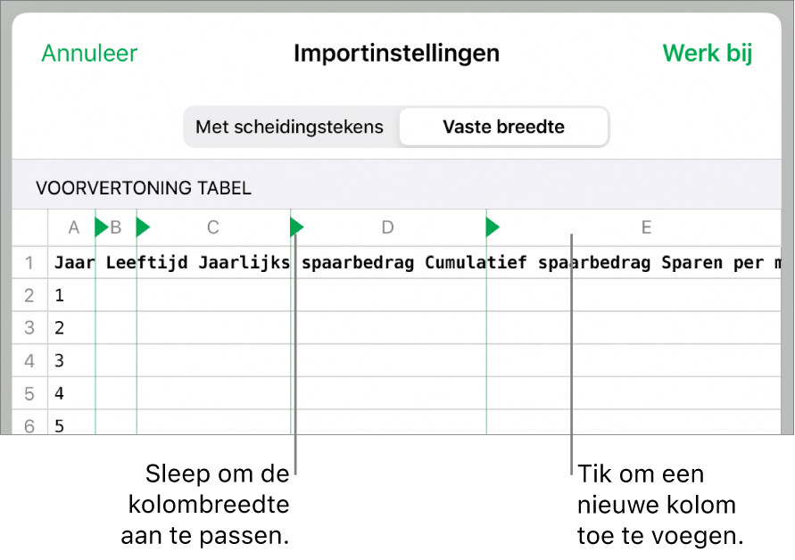 De importinstellingen voor een tekstbestand met vaste breedte.