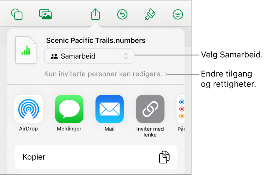 Del-menyen med Samarbeid markert øverst, og tilgangs- og tillatelsesinnstillingene under.