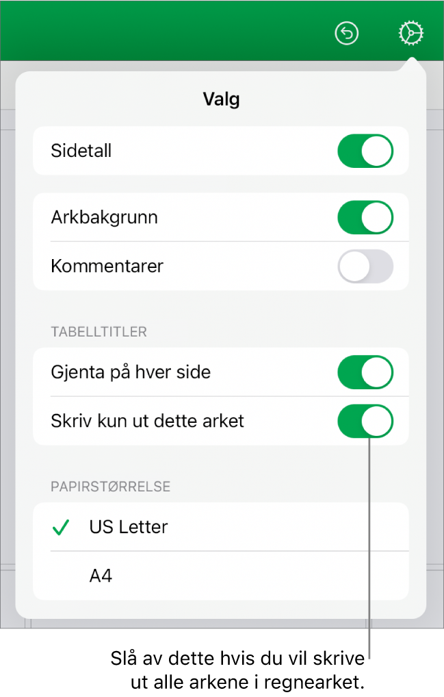 Utskriftsforhåndsvisning-panelet, med kontroller for å vise sidetall, gjenta tittelceller på hver side, endre papirstørrelse og valg for å skrive ut hele regnearket eller bare gjeldende ark.