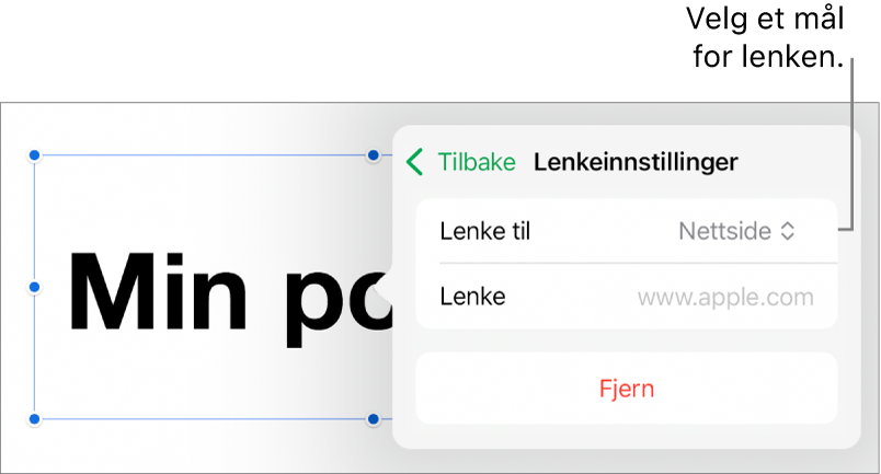 Lenkeinnstillinger-kontrollene med Nettside markert og Fjern-knappen nederst.