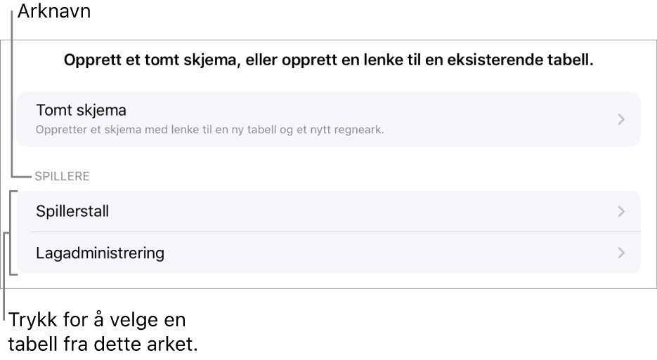 En liste med tabeller som er i samme regneark med mulighet for å opprette et tomt skjema øverst.