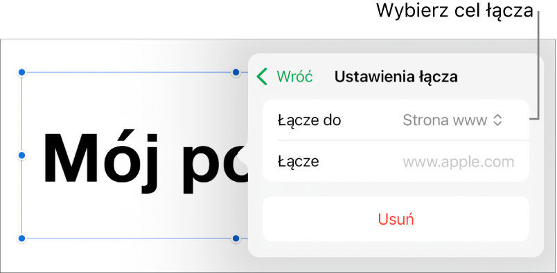 Narzędzia Ustawienia łącza; wybrane jest narzędzie Strona www; na dole znajduje się przycisk Usuń.