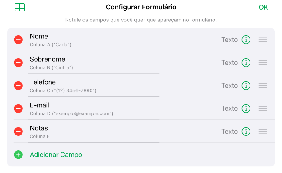 Controles de configuração de forma, mostrando opções para adicionar, editar, reordenar e apagar campos, além de alterar o formato dos campos (como de Texto para Porcentagem).