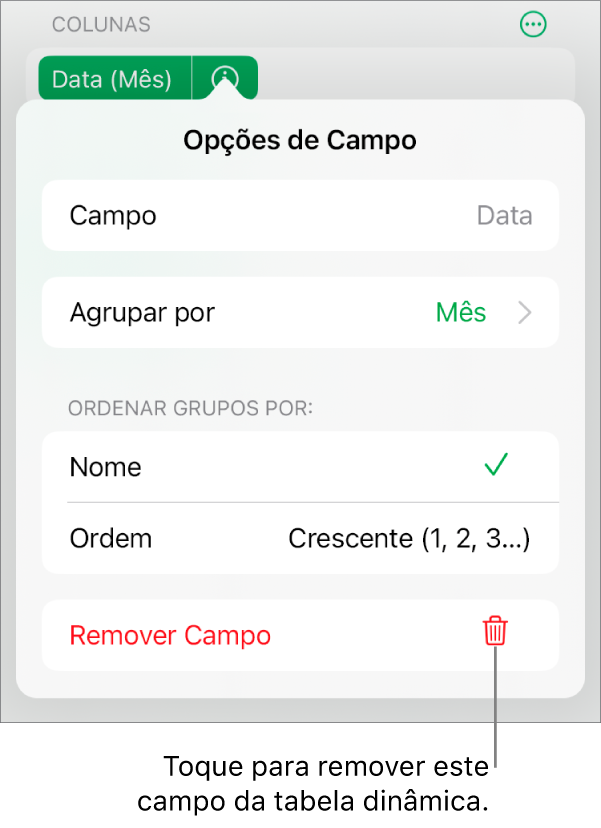 O menu Opções de Campo, mostrando os controles para agrupar e classificar dados, assim como a opção de remover um campo.