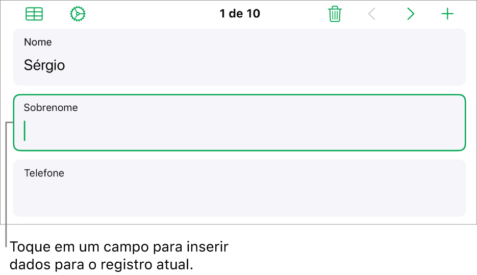 Um registro em um formulário mostrando um campo ativo com um ponto de inserção.