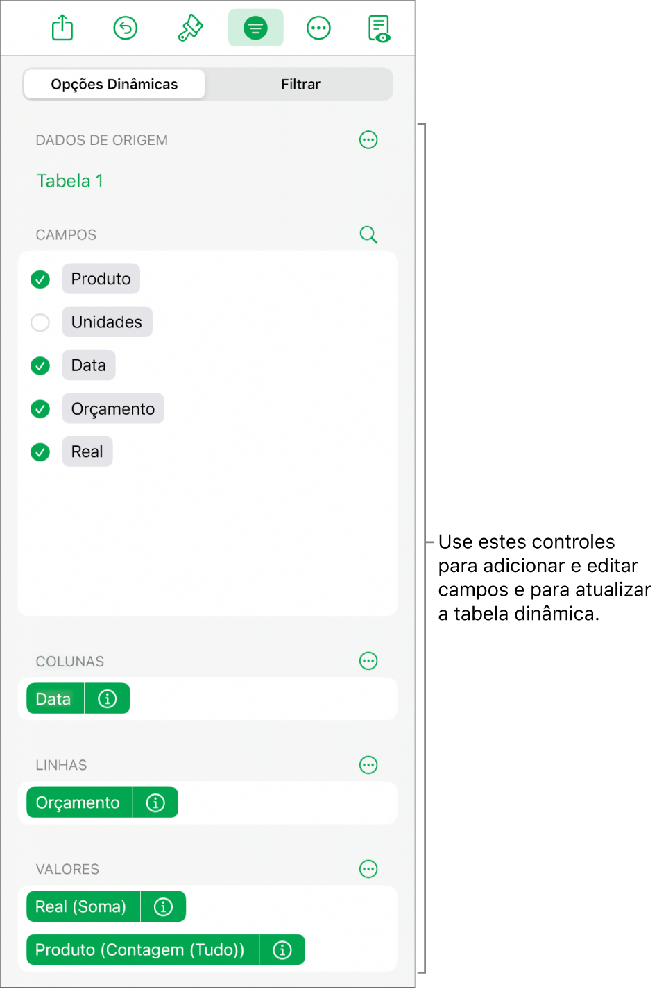 Menu Opções Dinâmicas mostrando campos das seções Colunas, Linhas e Valores, bem como controles para editar os campos.
