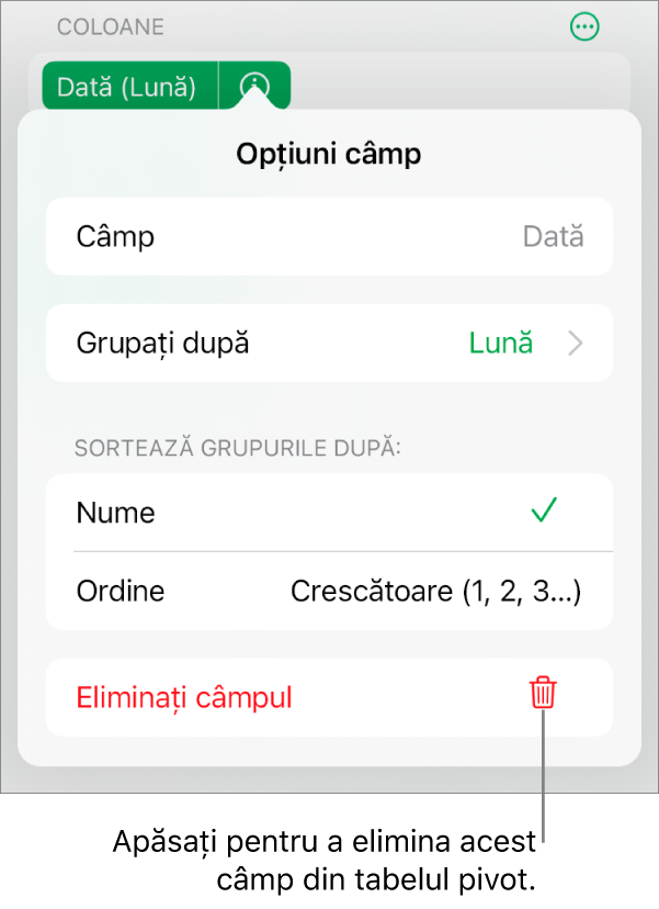 Meniul Opțiuni câmp afișând comenzile pentru gruparea și sortarea datelor și opțiunea de eliminare a unui câmp.