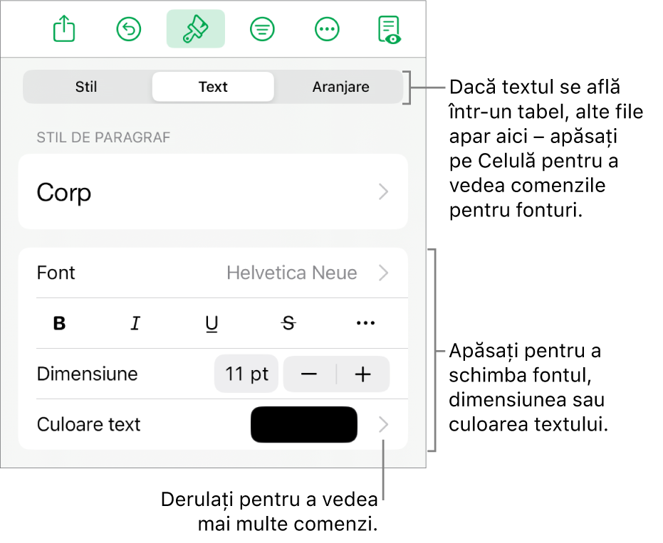 Comenzi text din meniul Format pentru configurarea paragrafelor și a stilurilor, fonturilor, dimensiunii și culorii caracterelor.
