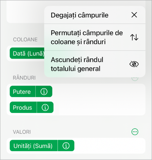 Meniul Mai multe opțiuni de câmpuri afișând comenzile pentru ascunderea totalurilor generale, permutarea câmpurilor de coloane și rânduri și ștergerea câmpurilor.