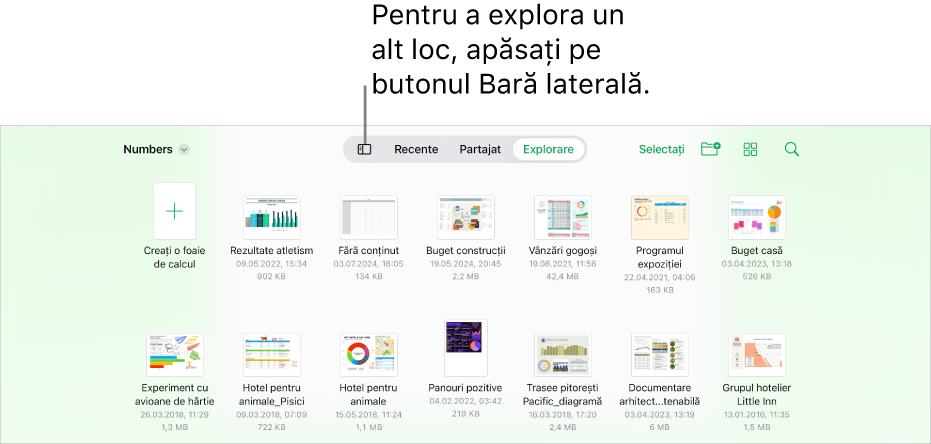 Vizualizarea de explorare a gestionarului de documente cu un link pentru loc în colțul din stânga sus și sub acesta un câmp Căutare. În colțul din dreapta sus se află butonul Adaugă o foaie de calcul, butonul Dosar nou, un meniu pop‑up pentru utilizarea vizualizării sub formă de listă sau de pictograme și pentru filtrarea după nume, dată, dimensiune, tip și etichetă și butonul Selectează. Sub acestea se află miniaturile foilor de calcul existente.