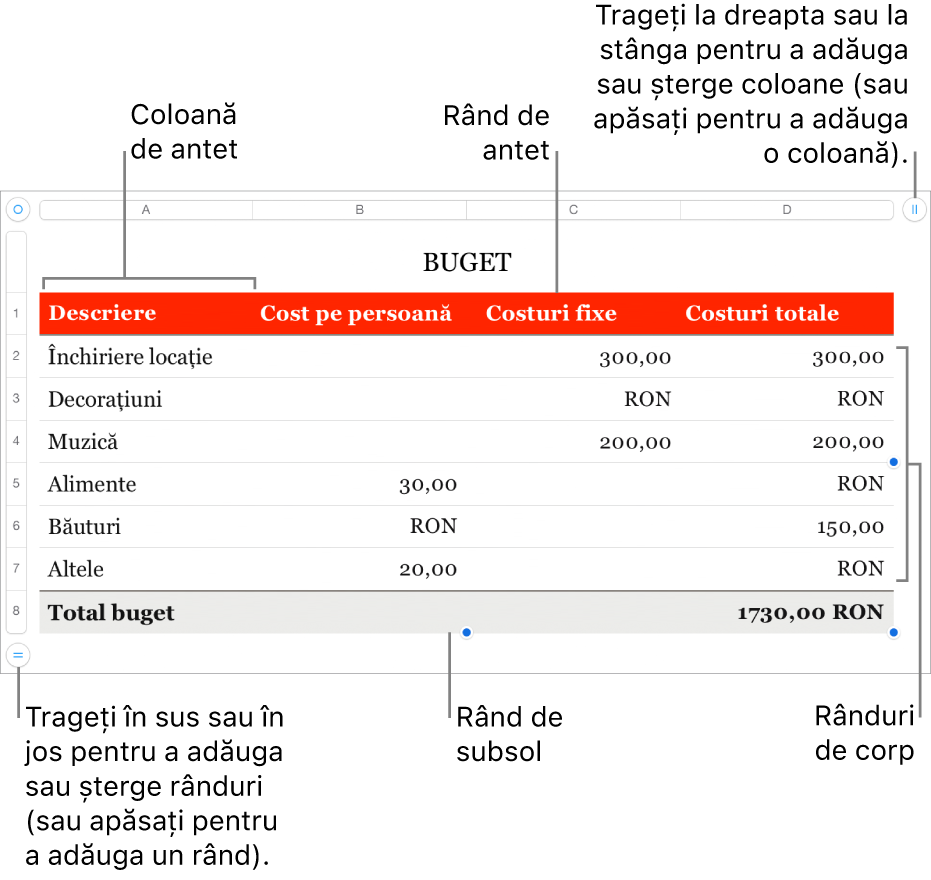 Un tabel, cu rânduri și coloane pentru antet, corp și subsol și mânere pentru adăugarea sau ștergerea rândurilor sau coloanelor.
