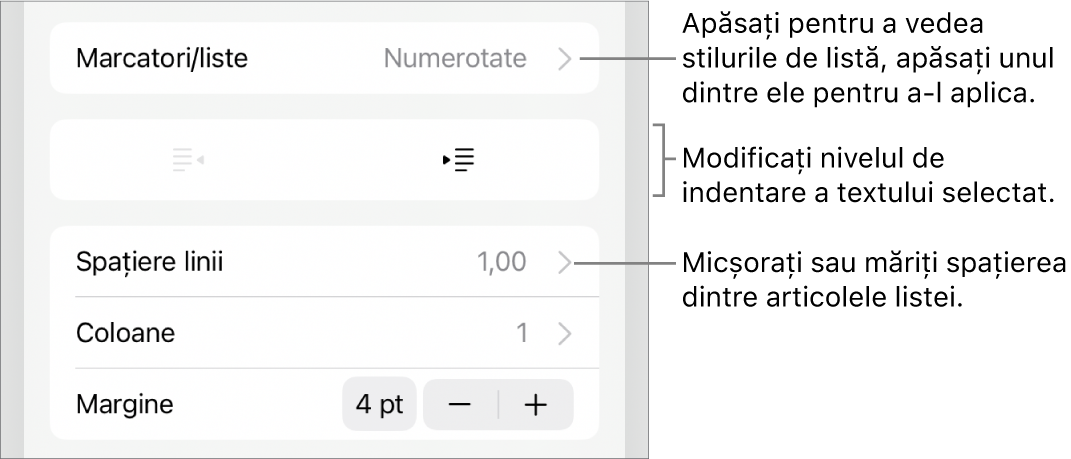 Secțiunea Marcatori/liste din comenzile Format cu explicații pentru Marcatori/liste, butoanele de indentare și indentare exterioară, precum și comenzile pentru spațierea liniilor.