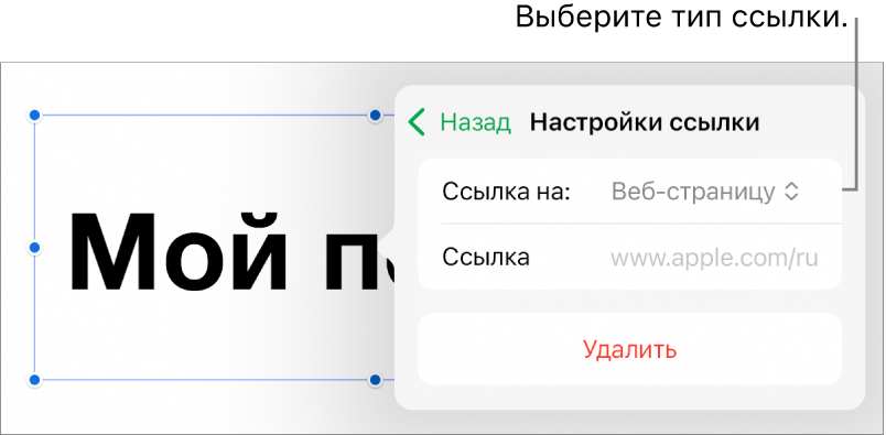 Элементы управления «Настройки ссылки»; выбран элемент «Веб-страница». В нижней части экрана показана кнопка «Удалить».