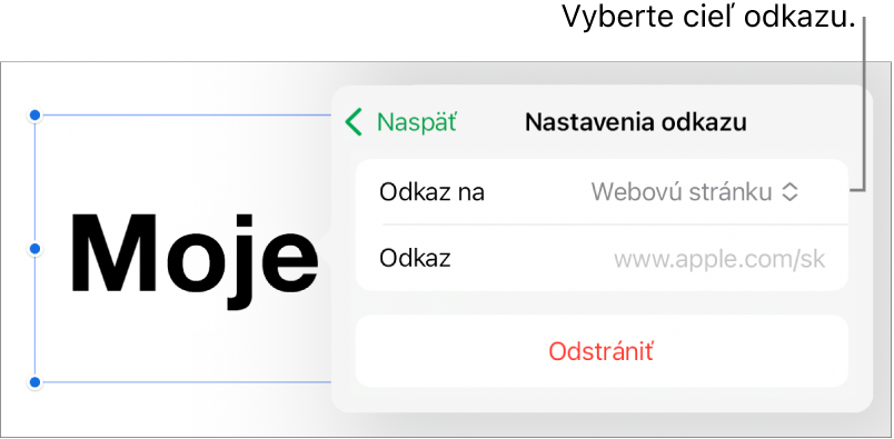 Ovládacie prvky nastavení odkazov s vybranou položkou Webová stránka a tlačidlom Odstrániť v dolnej časti.