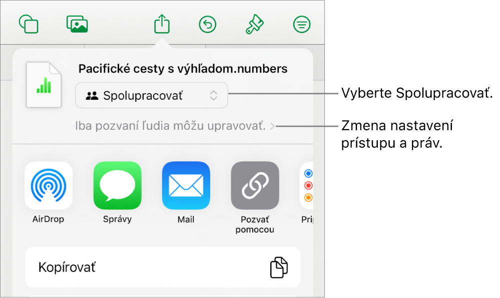 Menu Zdieľať s vybranou možnosťou Spolupracovať navrchu a pod ňou sa nachádzajú nastavenia prístupu a povolení.