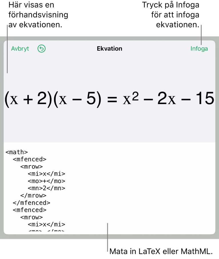 Dialogrutan Ekvation visar en ekvation som skrivits med MathML-kommandon och en förhandsvisning av formeln ovanför den.