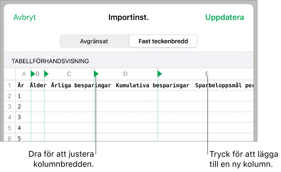 Importinställningar för en textfil med fast teckenbredd.