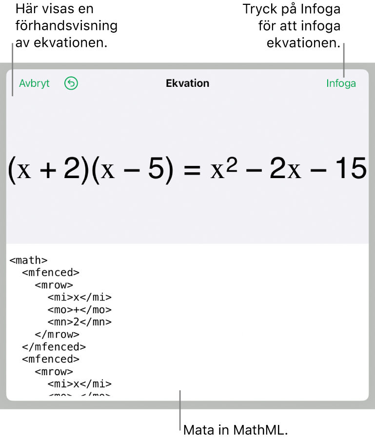 Dialogrutan Ekvation visar en ekvation som skrivits med MathML-kommandon och en förhandsvisning av formeln ovanför den.