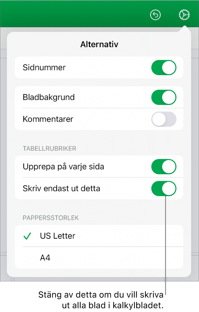 Utskriftsförhandsvisningspanelen med reglage för att visa sidnummer, upprepa sidhuvuden på varje sida, ändra pappersformat och välja att skriva ut hela kalkylbladet eller bara det aktuella bladet.