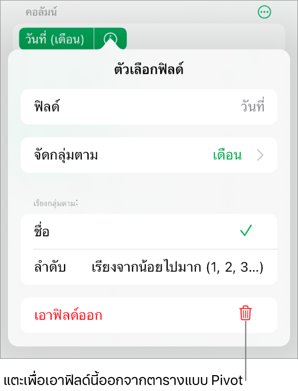 เมนูตัวเลือกฟิลด์ ที่แสดงตัวควบคุมสำหรับการจัดกลุ่มและการเรียงข้อมูล รวมถึงตัวเลือกในการเอาฟิลด์ออก