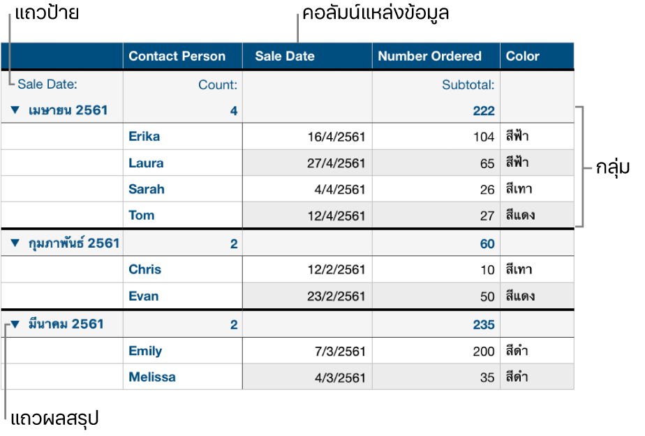 ตารางที่จัดหมวดหมู่ที่แสดงคอลัมน์แหล่งข้อมูล, กลุ่ม, แถวผลสรุป และแถวป้าย