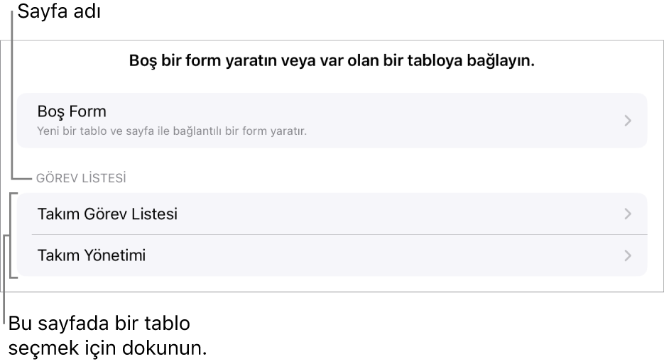 En üstte boş bir form yaratma seçeneği ile birlikte aynı hesap tablosunda bulunan tabloların listesi.