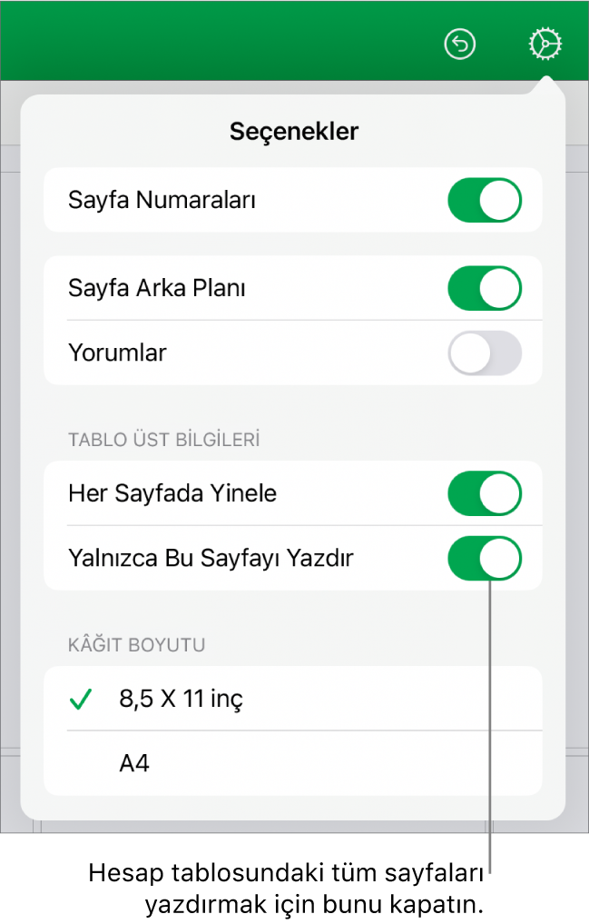Sayfa numaralarını gösterme, her sayfaya üst bilgi ekleme, kâğıt boyutunu değiştirme ve tüm sayfanın veya sadece güncel sayfanın yazdırılmasını seçme denetimleri içeren yazdırma önizlemesi bölümü.