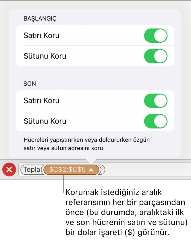 Hücre silindiğinde veya taşındığında hücrenin satır ve sütun referanslarının belirtilmesini sağlayan denetimler. Korumak istediğiniz aralık referansının her bir bölümünden önce bir dolar işareti görünür.