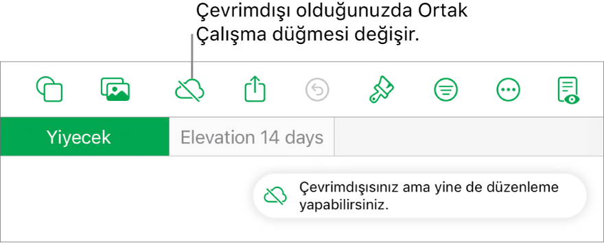 Ekranın en üstündeki düğmeler; Ortak Çalışma düğmesi, üzerinde çapraz bir çizgi olan bir buluta değişmiş. Ekrandaki bir uyarı “Çevrimdışısınız ama yine de düzenleyebilirsiniz” der.