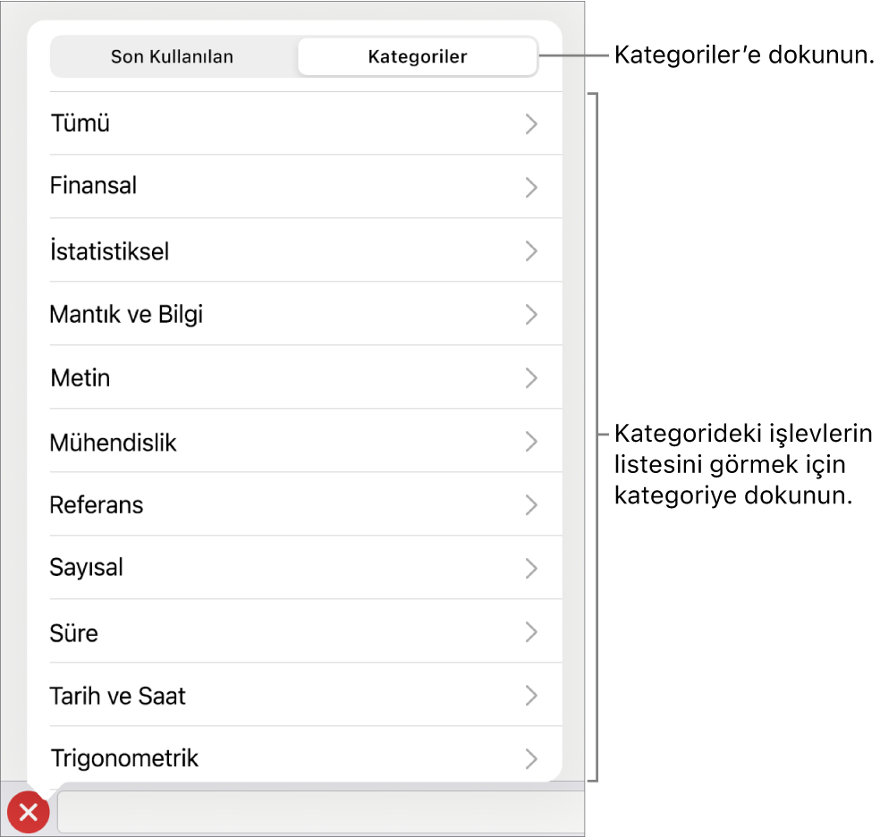 Kategoriler düğmesi seçili olarak ve onun altında kategori listesi ile İşlev Tarayıcı.
