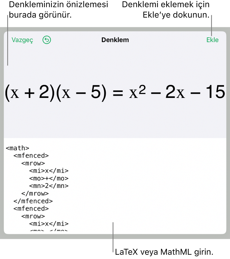 MathML komutları kullanılarak yazılmış bir denklemi ve onun üstünde formülün önizlemesini gösteren Denklem sorgu kutusu.