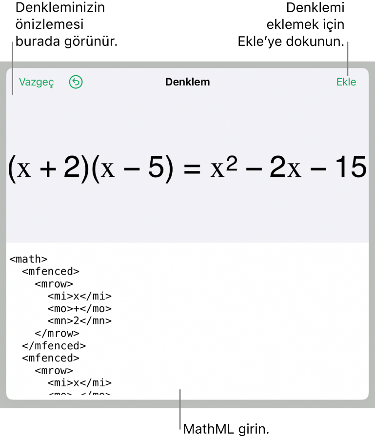 MathML komutları kullanılarak yazılmış bir denklemi ve onun üstünde formülün önizlemesini gösteren Denklem sorgu kutusu.