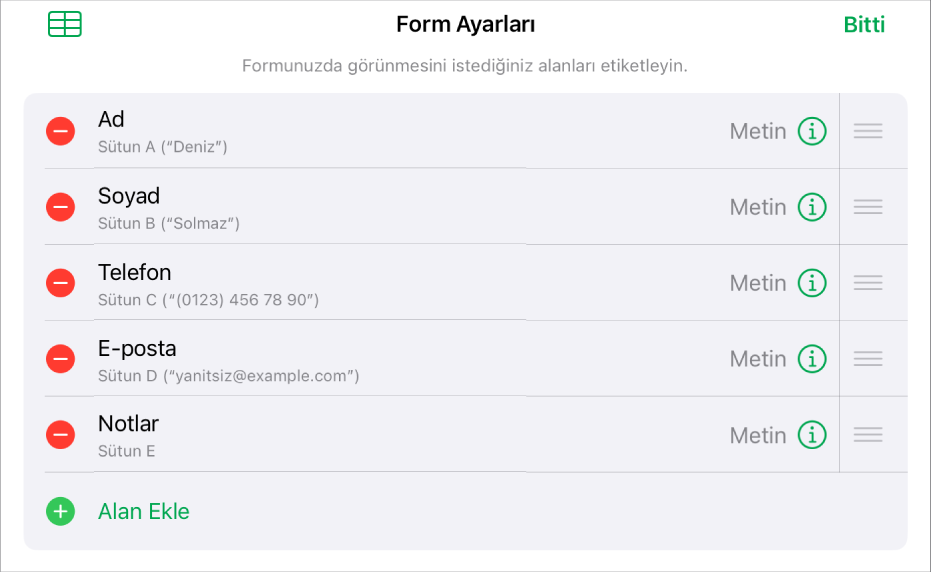 Alanları ekleme, düzenleme, yeniden sıralama, silme ve alanların biçimini değiştirme (örneğin Metin’den Yüzde’ye) seçeneklerini gösteren form ayarı denetimleri.