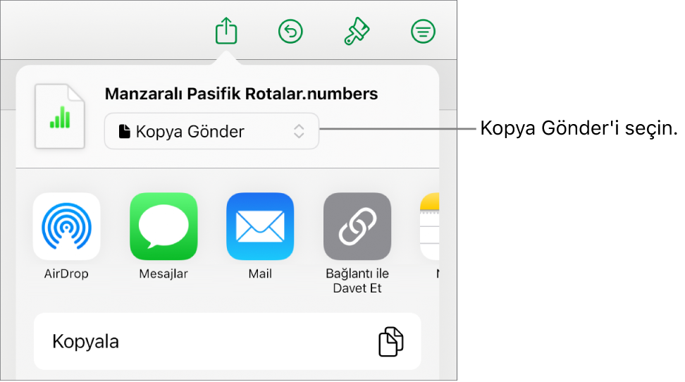Paylaş menüsü, en üstte Kopya Gönder seçili.