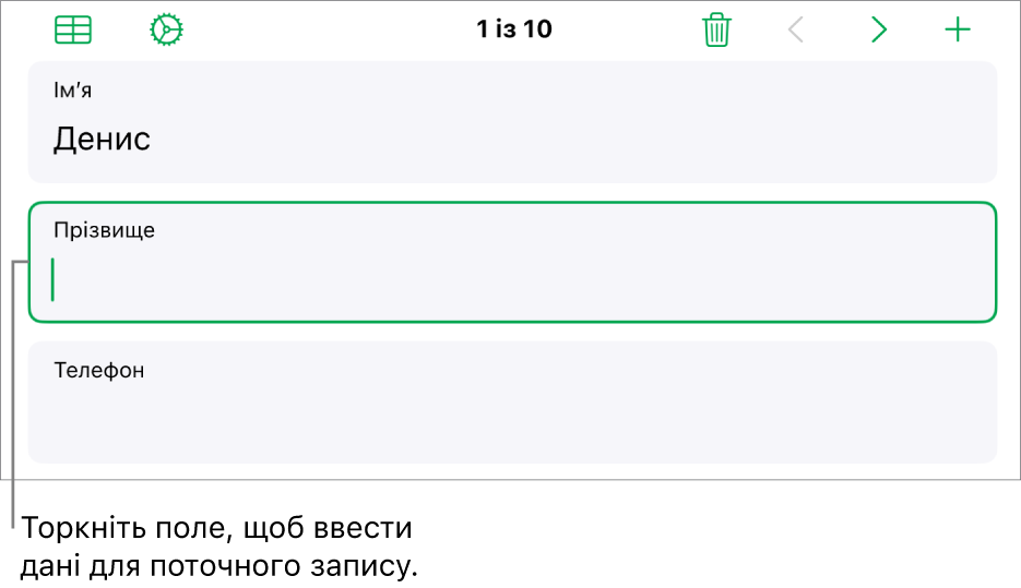 Запис у формі з активним полем і точкою вставлення.