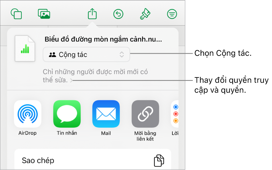 Menu Chia sẻ với Cộng tác được chọn ở trên cùng và các cài đặt quyền truy cập và quyền ở bên dưới.