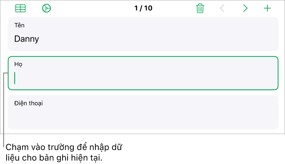 Hồ sơ là biểu mẫu đang hiển thị trường hoạt động với dấu chèn.