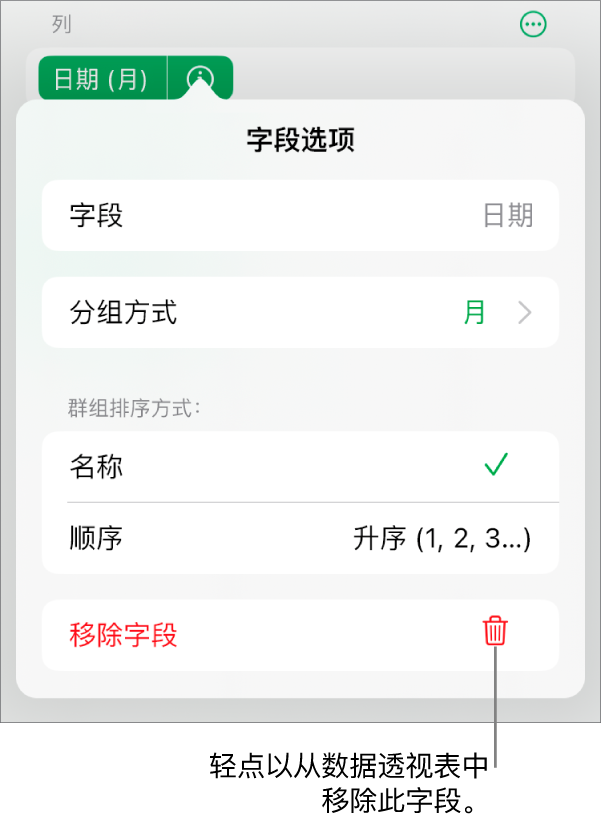 “字段选项”菜单，显示成组和排序数据的控制以及移除字段的选项。