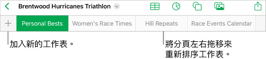 用於加入新工作表、導覽、重新排列和重新整理工作表的分頁列。