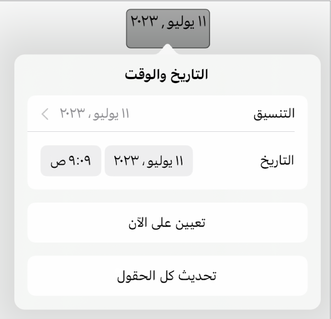 عناصر تحكم التاريخ والوقت تعرض قائمة منبثقة لتنسيق التاريخ وزري تعيين على الآن وتحديث كل الحقول.