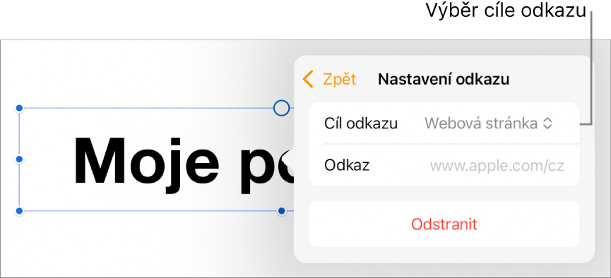 Ovládací prvky Nastavení odkazu s vybranou volbou Webová stránka a tlačítkem Odstranit v dolní části