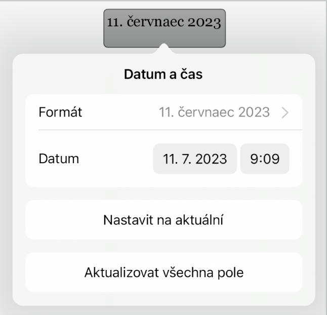 Ovládací prvky data a času se zobrazenou místní nabídkou pro formátování data a tlačítky Nastavit na aktuální a Aktualizovat všechna pole